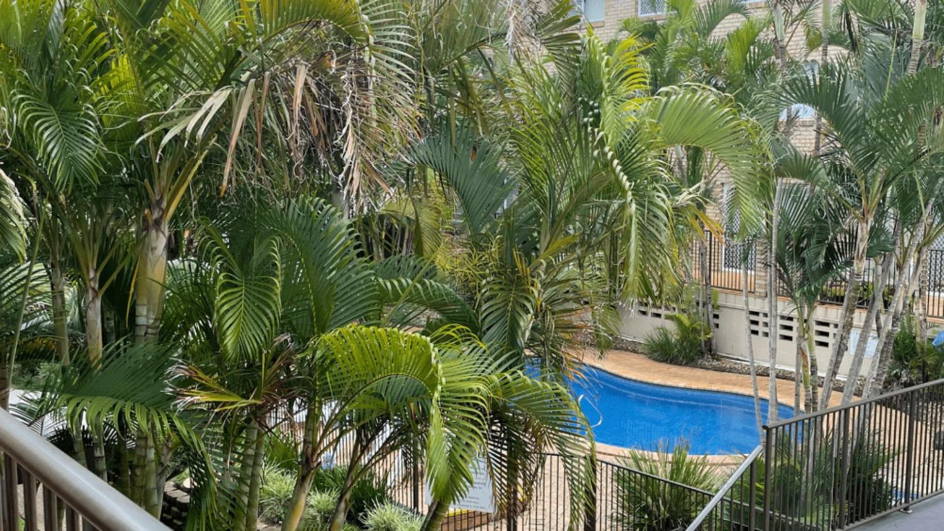 Cabarita Beachfront Apartments By Kingscliff Accommodation ภายนอก รูปภาพ